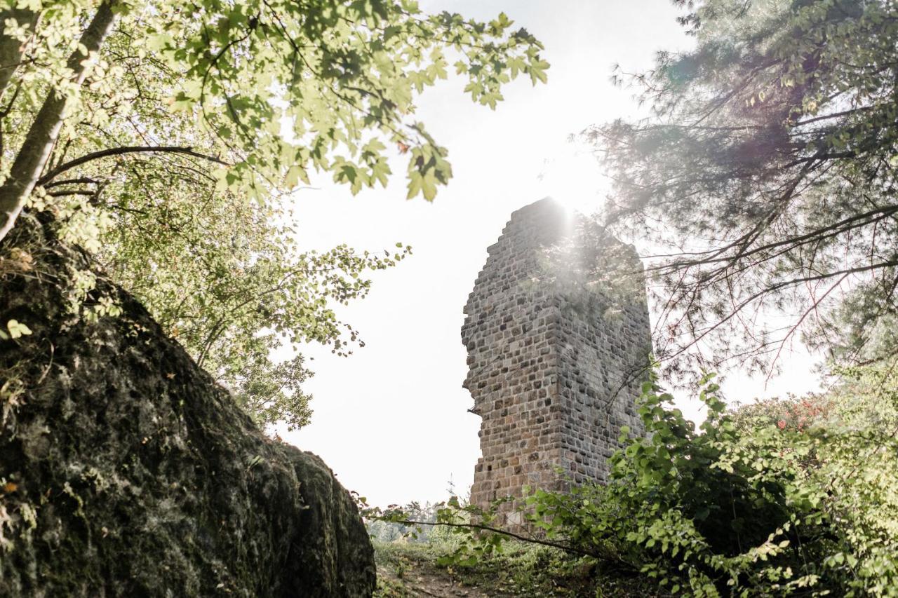 Gasthaus Am Oedenturm Chammünster Εξωτερικό φωτογραφία